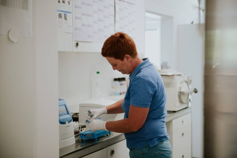 Tierärztin arbeitet mit Pipette