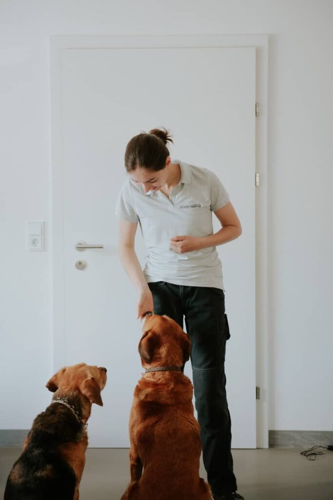 Tierärztin begrüßt zwei Hunde